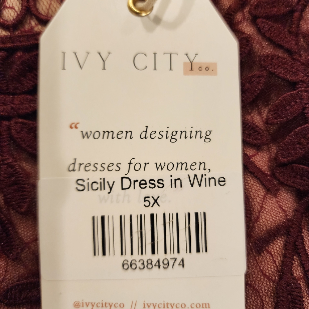 Elegant Wine Lace Dress - Picture 6 of 6